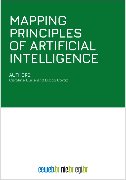 Mapping Principles of Artificial Intelligence